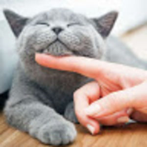 Meet your Posher, Pam